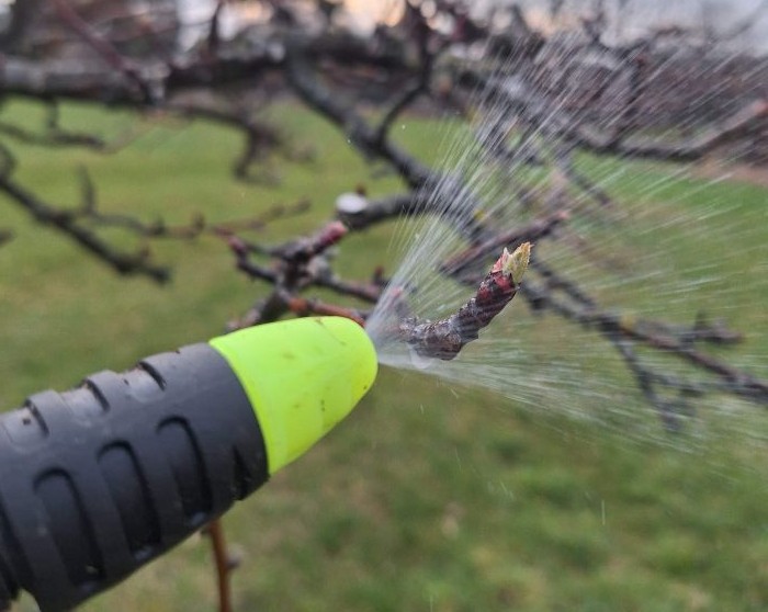 Jarní postřik Marolex